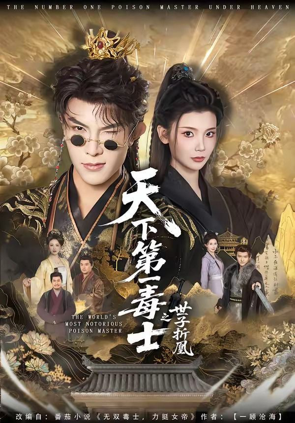 天下第一毒士之世子折凰——电影遇见你