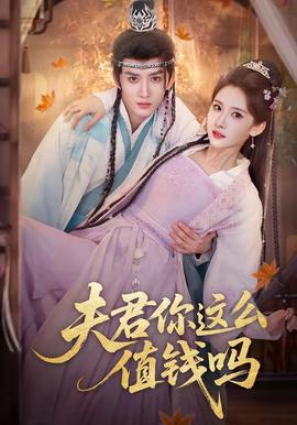 夫君你这么值钱吗——女人复仇记电视剧